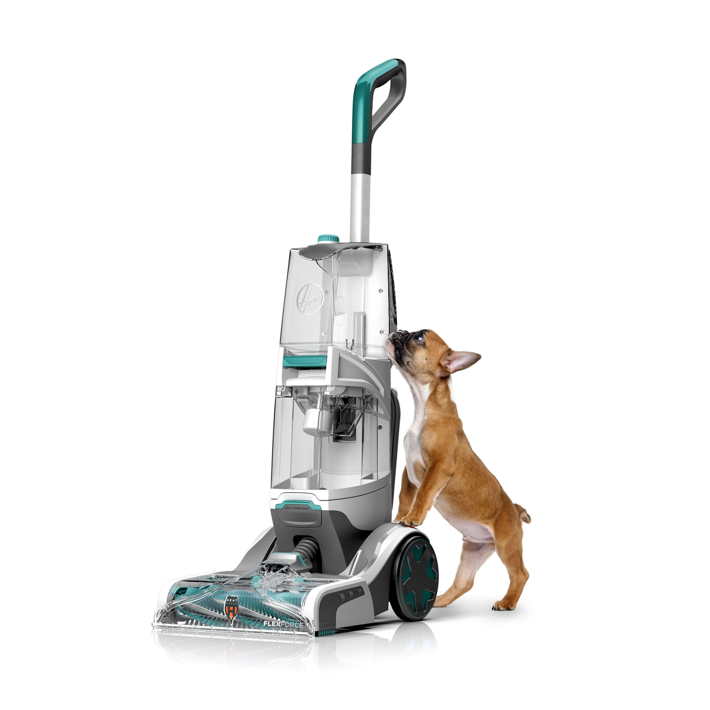 Carpet Cleaners
