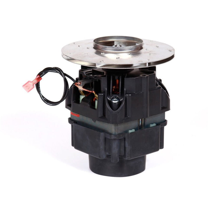 ProTeam 509776-19 ProGuard 4 Motor